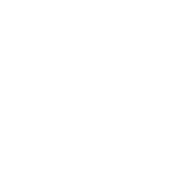 seahorse icon white