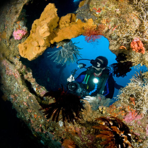 tulamben diving experience